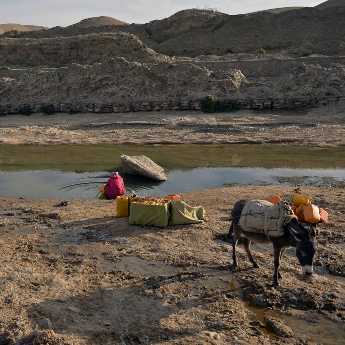 A man fills jerrycans with water in a drought-affected area of the remote Afghan district of Bala Murghab, October 2021