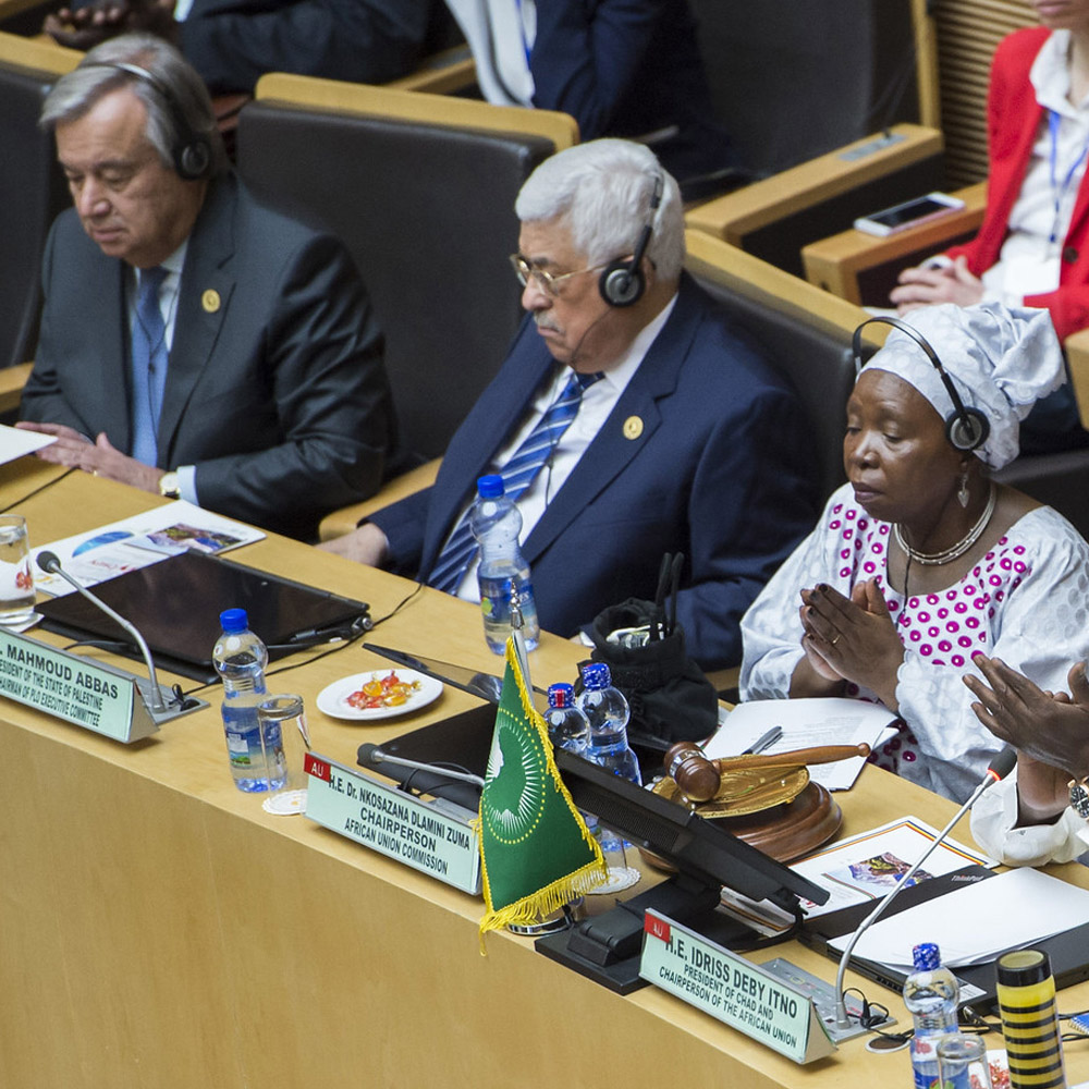 Representatives pictured at the 28th African Union Summit