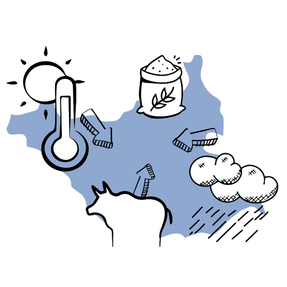 Illustration showing the outline of South Sudan and a range of environmental icons